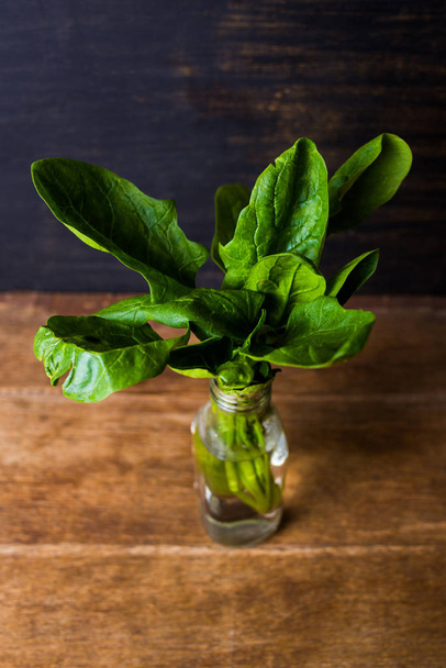 Fresh green spinach - Foto, afbeelding