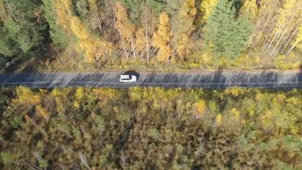 Aerial View Above Road in Forest in Fall With Cars. - Video