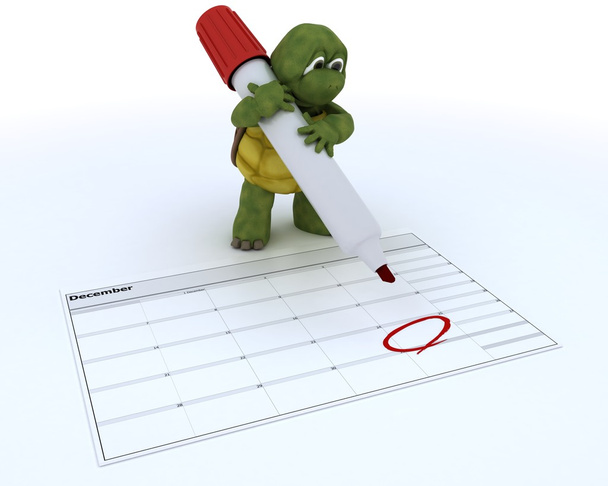 schildpad met een kalender - Foto, afbeelding