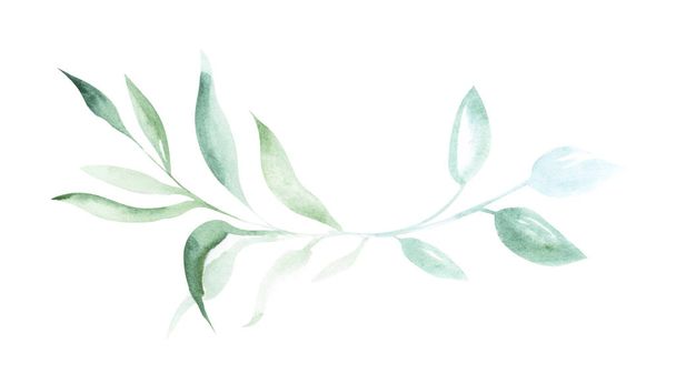 Ilustración de acuarela dibujo ramitas verdes de plantas sobre un fondo blanco aislado en forma de un adorno
 - Foto, Imagen