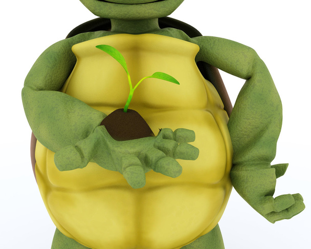 tortoise nurturing a seedling plant - Photo, Image