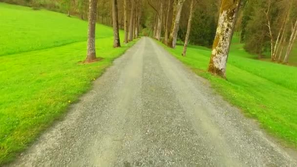 Walking and observing nature in spring park. - Materiaali, video