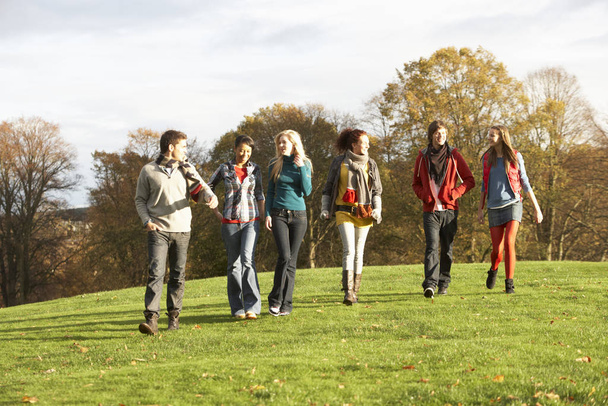 Group Of Teenage Friends Walking Through Autumn Landscape - Photo, Image