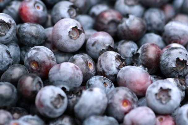Berries closeup shot, healthy food concept - Фото, изображение