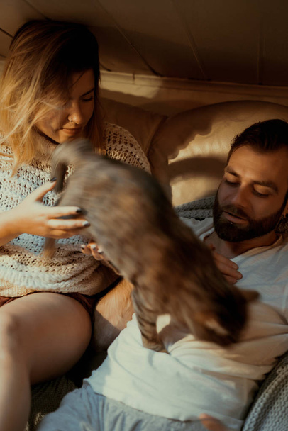 young couple in love spends a cozy evening at home on the couch with a cat. - 写真・画像