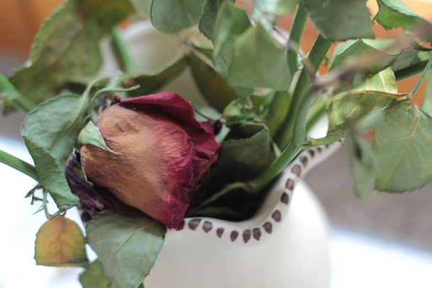 Сушеные розы в вазе на окне
. - Фото, изображение
