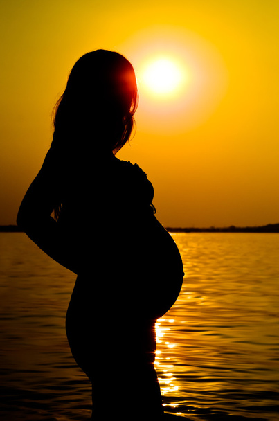 Silhouette of a pregnant woman - Foto, afbeelding