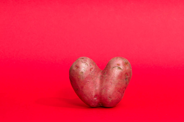 Conjoined Siamese potato on a red background with copy space. - Foto, Imagem