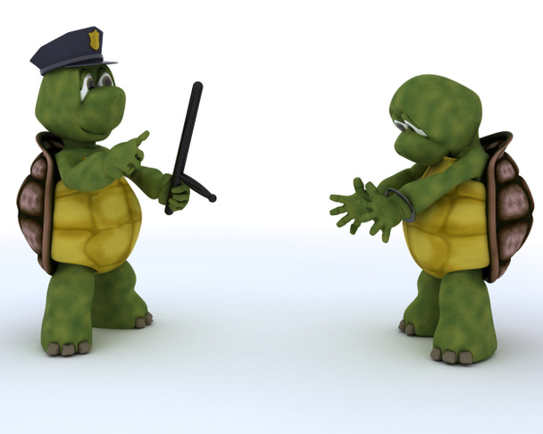 tortugas como policías y ladrones
 - Foto, Imagen