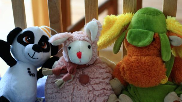 Various, very colorful plush toys in a wooden, bio baby cot. - Photo, Image