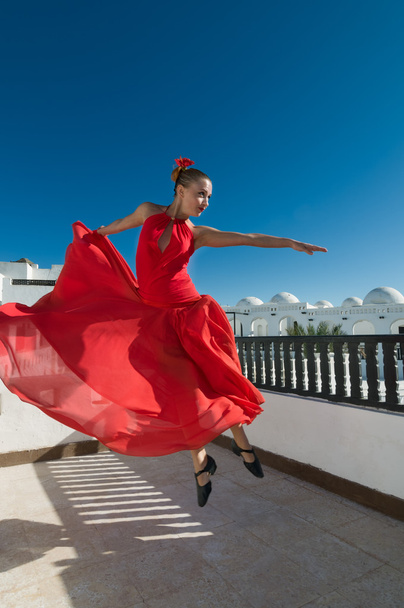 Flamenco dancer in flight - Фото, изображение