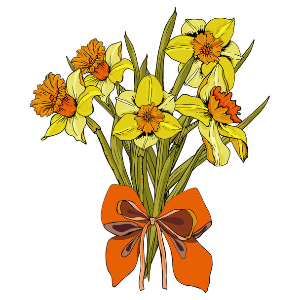 A bouquet of daffodils tied with a bow. Vector illustration Bouquet. They are ideal for background paper, album layouts, invitations, greeting cards, stickers, gift tags, stickers. europe germany - Vector, Image