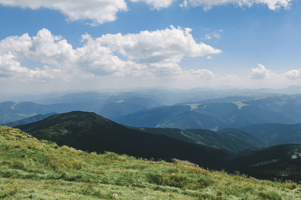 Beautiful forest landscape in the Carpathians - Fotoğraf, Görsel
