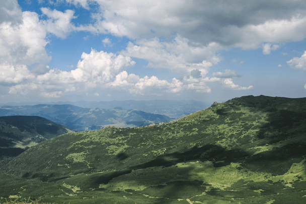 Beautiful forest landscape in the Carpathians - Fotó, kép