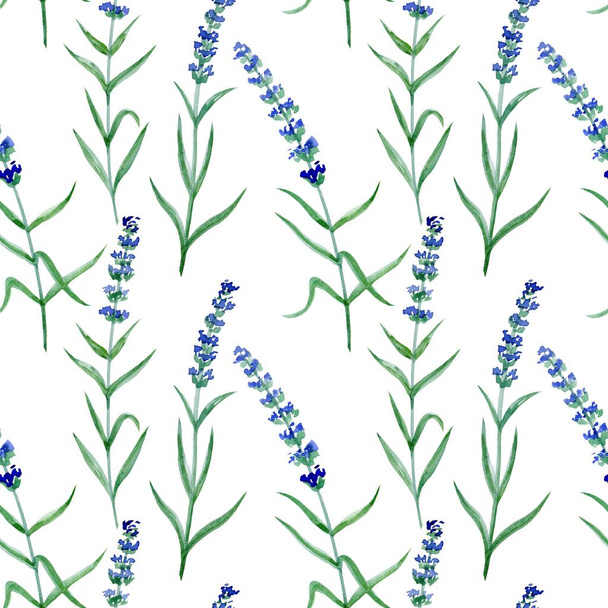 SEAMLESS WATERCOLOR PATTERN WITH LAVENDER TWIGS - Foto, imagen