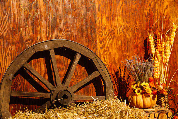 Une vieille roue de chariot en bois se tient dans le foin
. - Photo, image