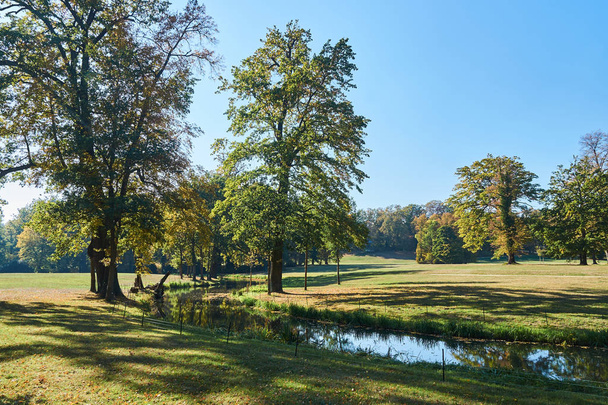 joki ja puut Muskauerin puiston puutarhassa syksyllä Saksassa
 - Valokuva, kuva