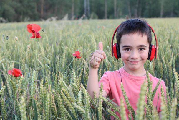 Closeup portrait of cute child boy in red t-shirt and red headphones standing in tulips field  - Photo, Image