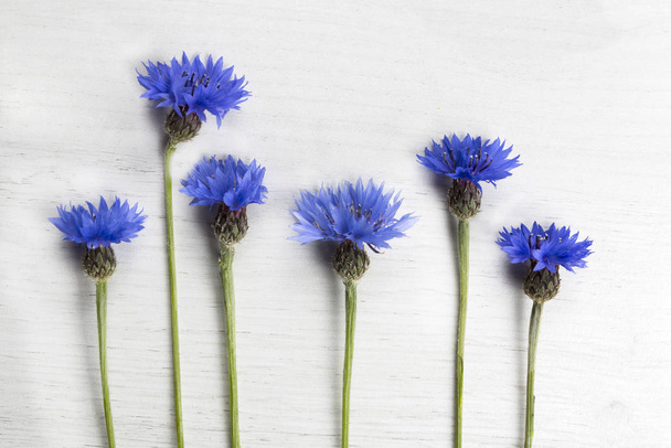 blaue Kornblumen auf weißem Holzgrund - Foto, Bild