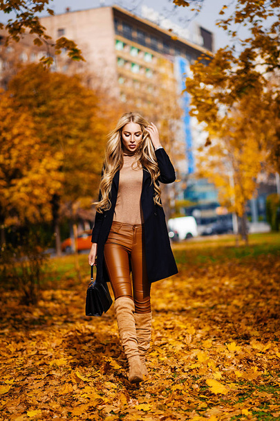 A blonde in an autumn coat is walking in the park. Seasonal photo. Glamor Fashion - Fotó, kép