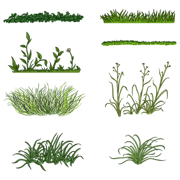 Vector Set of Cartoon Green Grass Silhouettes на White Backround. - Вектор, зображення