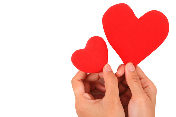 Vrouwelijke handen met rood hart - Foto, afbeelding