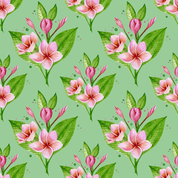 PATTERN WITH PINK PLUMERIA - Photo, image
