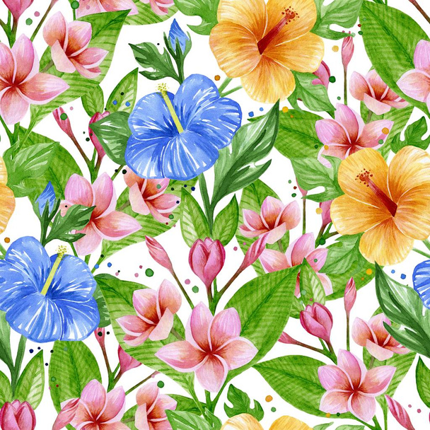 SEAMLESS WATERCOLOR PATTERN WITH PLUMERIA AND SYRIAN HIBISCUS - 写真・画像