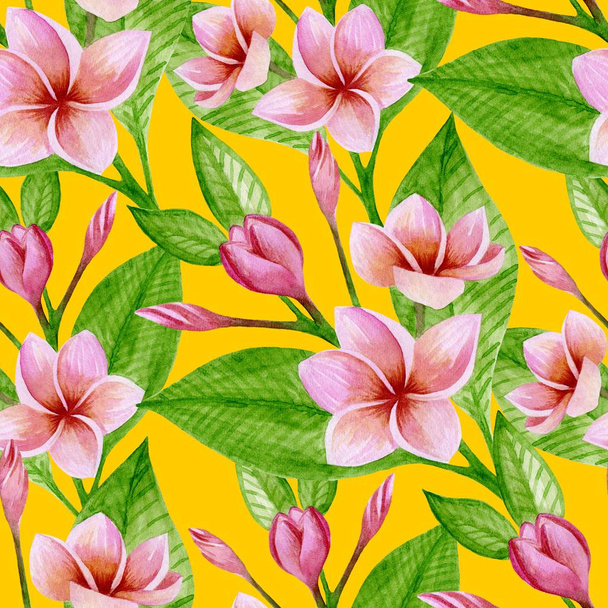 PATTERN WITH PINK PLUMERIA - Photo, Image