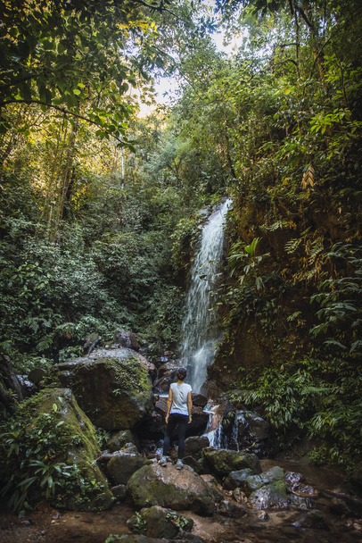 natural environment of the Cerro Azul Meambar National Park (Panacam) on Lake Yojoa, Honduras - Fotoğraf, Görsel