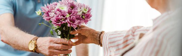 Обрезанный вид пожилого мужчины, дающего букет хризантем жене, панорамный снимок
 - Фото, изображение