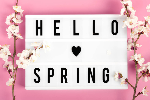 Ramitas de albaricoque con flores y caja de luz con texto Hola primavera sobre fondo rosa. Llegó el concepto de primavera, feliz Pascua, día de la madre. Vista superior. Puesta plana
 - Foto, imagen