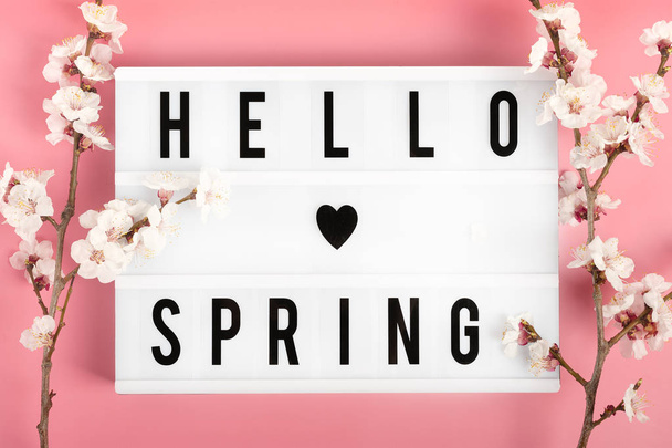 Sprigs sárgabarack fa virágokkal és villásdoboz szöveggel Hello tavasz rózsaszín háttér. Eljött a tavasz fogalma, boldog húsvétot, anyák napját. Első látásra. Lapos fektetés - Fotó, kép