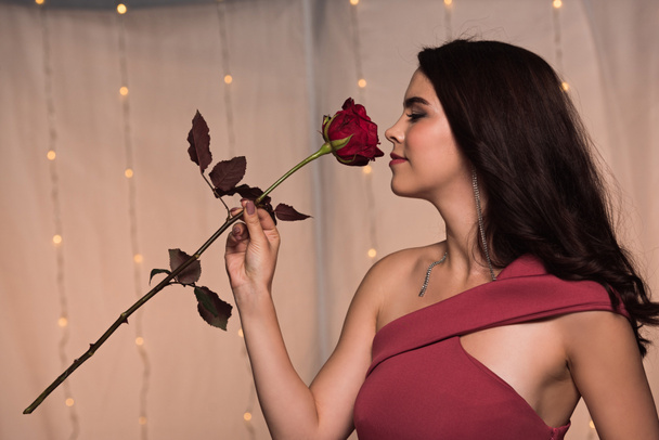 hermosa, chica elegante disfrutando del sabor de la rosa roja en San Valentín en el restaurante
 - Foto, imagen
