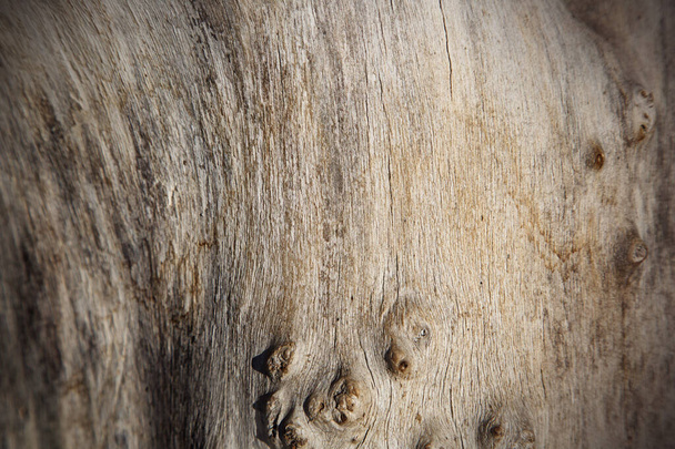 régi fa természetes háttér. - Fotó, kép
