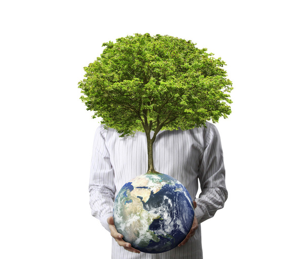 earth globe and tree in his hand - Photo, Image