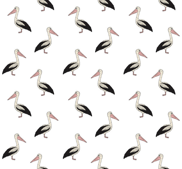 Vector seamless pattern of colored hand drawn doodle sketch pelican isolated on white background - Διάνυσμα, εικόνα