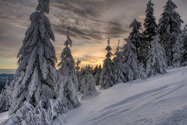 wunderschöne Winterlandschaft mit schneebedeckten Bäumen im Sonnenuntergang, tschechisch beskydy - Foto, Bild