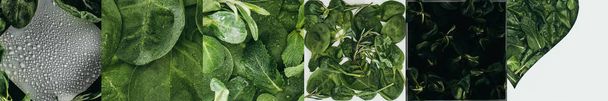 Collage aus grünen und frischen Spinatblättern, umweltfreundliches Konzept  - Foto, Bild
