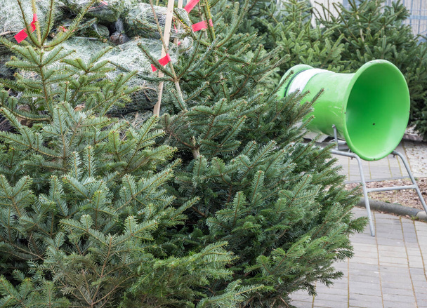 Karácsonyfa Értékesítési stand - Fotó, kép