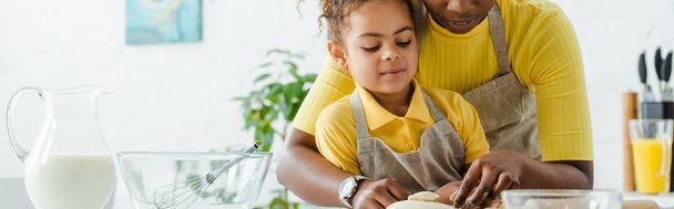Afrika kökenli Amerikalı bir annenin, tatlı bir kızın yanında, mutfakta hamur köftesi şekillendirirken çekilen panoramik bir fotoğrafı.  - Fotoğraf, Görsel