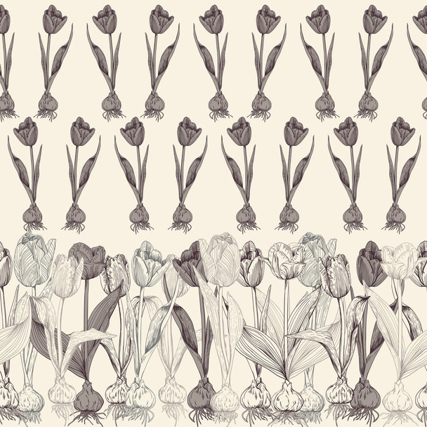 Vintage canvas and single tulip flowers with bulbs in vintage st - Вектор, зображення