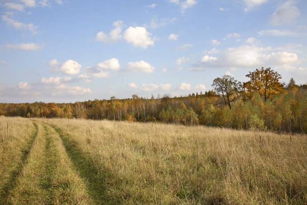 Landscape near Myshenki village. Tula oblast. Russia - Fotoğraf, Görsel