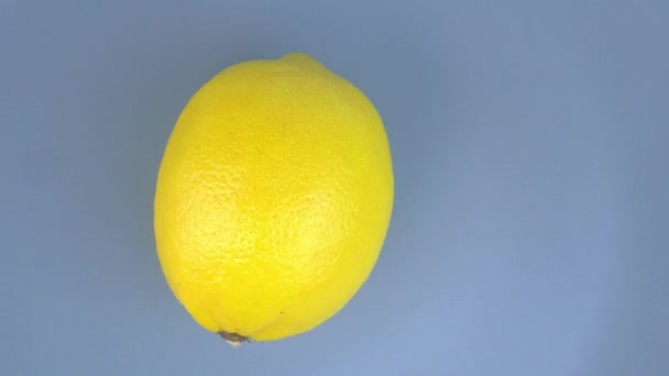 果物の黄色のレモンのねじれ。食べ物だビデオ. - 映像、動画