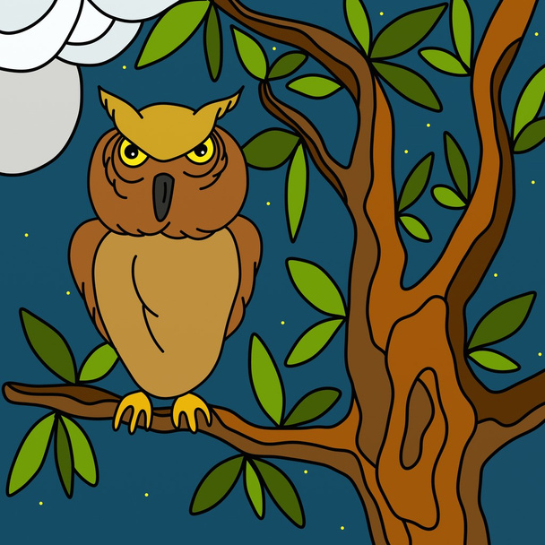 owls in the night - Foto, Imagem