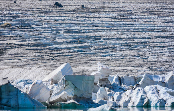 Icebergs Parto del Glaciar Grinnell
 - Foto, Imagen
