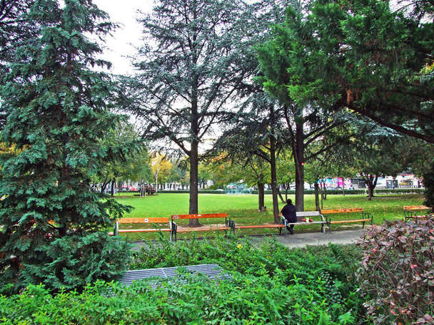Sigmund-Freud-Park, Wien (Terrain paysager avec pelouse herbeuse et arbres ombragés) - Vienne, Autriche
 - Photo, image