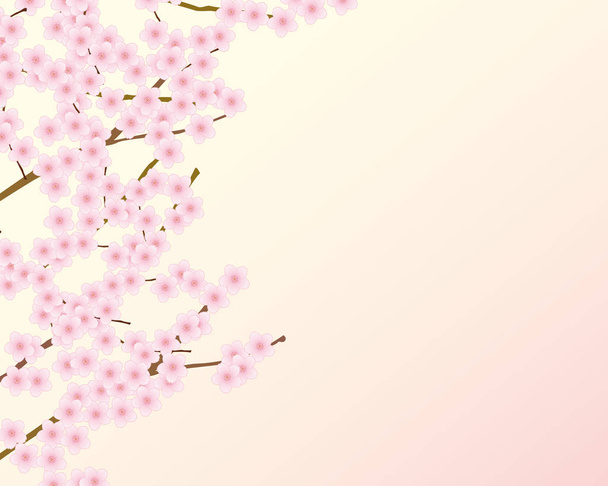 background illustration of cherry blossoms - Vector, Image