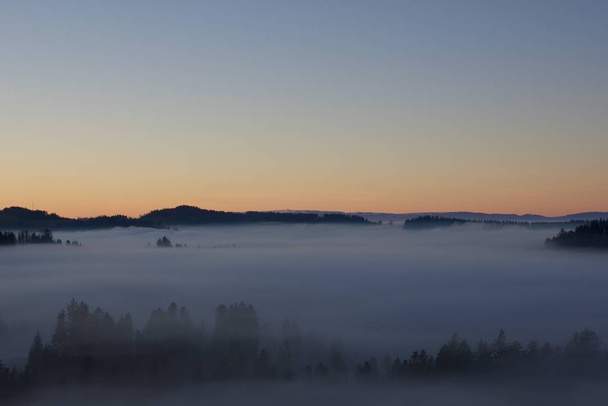 Morze mgły z wyspą leśną - Zdjęcie, obraz