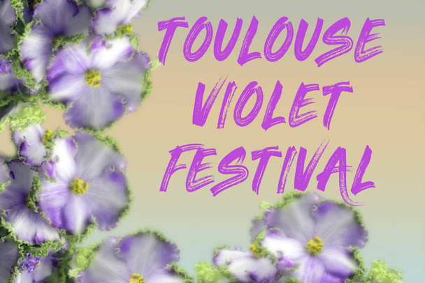 Félicitations pour le texte au Festival Violette de Toulouse, qui se déroule en France en février
. - Photo, image